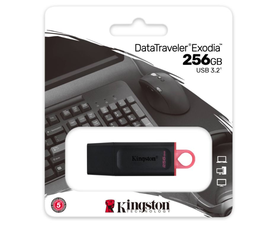 Kingston Exodia DTX/256GB USB3.2 Flash Memory 