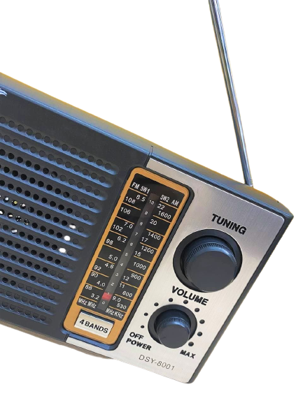 Kingmox DSY-8001 FM/AM Radio - Black