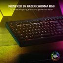Razer Cynosa V2 Gaming Keyboard - Membrane / Eng / Black 
