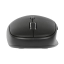 Targus AMB582GL - Mouse Wireless / USB / Negro