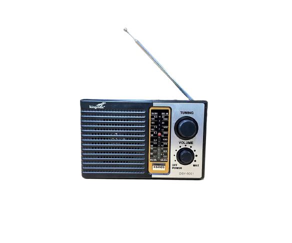 Kingmox DSY-8001 FM/AM Radio - Black