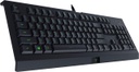 Razer Cynosa Lite Gaming Keyboard - Membrane / Eng / Black  